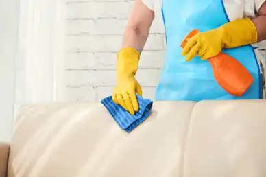 تمیز کردن مبل پارچه ای
