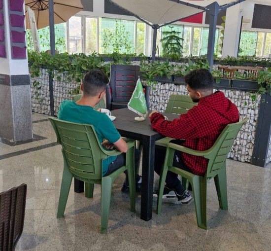 صندلی دالتون زبرا - Image 2