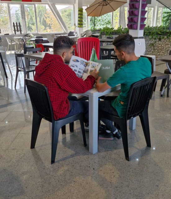 صندلی مونیکا نرده ای پولاد - Image 2