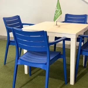 ست میز و صندلی تینا