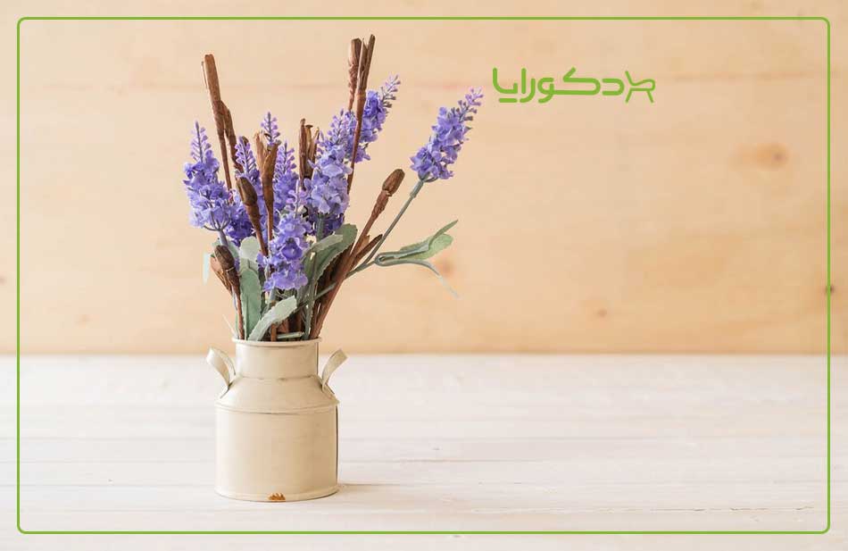 بهترین گیاه مبلمان باغی